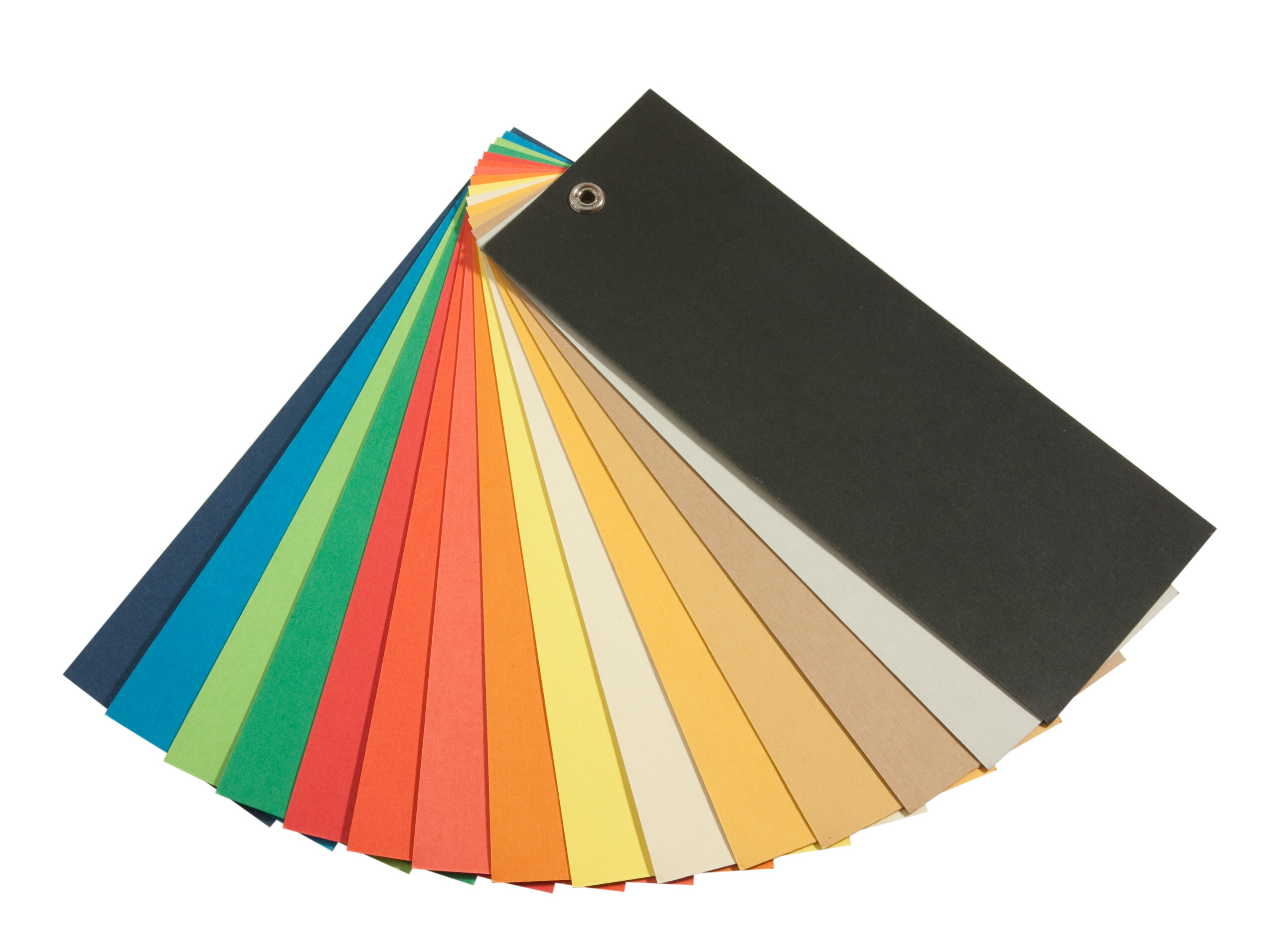 interior designers in Jayanagar